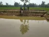 तालाब में गिरा फूड इंस्पेक्टर का महंगा फोन, 3 दिन तक पंप लगाकर खाली किया पानी