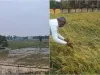 किसानों के लिए कठिनाई का काल, बेमौसम बारिश की भी पड़ी मार