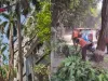 बीएमसी ने सार्वजनिक सुरक्षा के लिए पूरे शहर में मानसून-पूर्व वृक्षों की छंटाई की गतिविधियां शुरू कीं