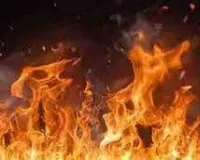 पालघर जिले के साखरे गांव में बिजली गिरने से लगी भीषण आग, चारे के गट्ठर जलकर खाक