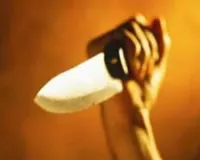 मुलुंड में स्ट्रीट डॉग को लात मारने पर बहस... 2 लोगों को मारा चाकू, आरोपी गिरफ्तार