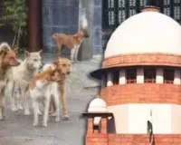 नई दिल्ली: आवारा कुत्तों से संबंधित मामले की सुनवाई 3 नवंबर को करेगा सुप्रीम कोर्ट 