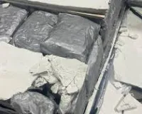 मुंबई: डीआरआई ने की बड़ी कार्रवाई; 42.34 किलोग्राम हाइड्रोपोनिक वीड जब्त