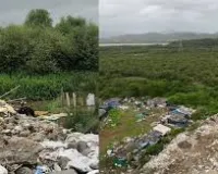 मीरा-भायंदर सिविक एडमिनिस्ट्रेशन ने राज्य के फॉरेस्ट डिपार्टमेंट से की अपील; 14 हेक्टेयर मैंग्रोव ज़मीन का प्रोटेक्टेड फॉरेस्ट स्टेटस हटा दे