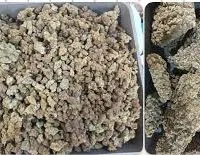 मुंबई : बैंकॉक से आए पांच यात्रियों से कुल 42.898 किलोग्राम हाइड्रोपोनिक वीड जब्त