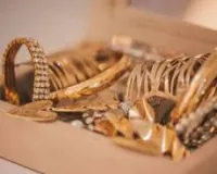 नवी मुंबई : पड़ोसी के घर से 22 तोले से ज़्यादा सोने की ज्वेलरी चुरा ली; कीमत 26 लाख