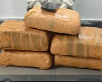 मुंबई : नए साल की पार्टी के लिए दिल्ली-मुंबई और गोवा में चरस सप्लाई करने वाला गिरफ्तार, ट्रेन से सफर करता था आरोपी