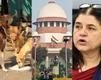  नई दिल्ली : डॉग फीडर्स की तय होगी जिम्मेदारी… आवारा कुत्तों के मामले में सुप्रीम कोर्ट ने मेनका गांधी के बयान पर जताई नाराजगी