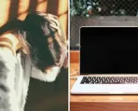 नागपुर : इंश्योरेंस कंपनी के चैनल हेड ने नौकरी से निकाले जाने से बचने के लिए एक महिला कर्मचारी से शारीरिक संबंध बनाने की मांग की