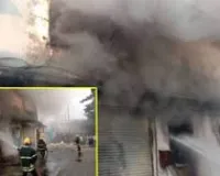 मुंबई: वसई में पेंट कारखाने में लगी आग, लाखों का नुकसान