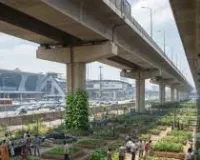 मुंबई हवाई अड्डे के फ्लाईओवर के नीचे ‘सामुदायिक शहरी फार्म’ विकसित किया जाएगा