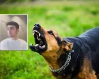 ठाणे : कुत्ते के काटने के बाद रेबीज के डर से बैंक कर्मचारी ने की आत्महत्या