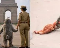 मुंबई : वायरल बेबी मंकी ‘पंच’ बना मुंबई पुलिस का मैसेज एंबेसडर, 112 हेल्पलाइन के लिए चलाई मुहिम