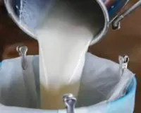मुंबई : ताजा दूध महंगा, 93 रुपये नई कीमत, इसी रेट पर बिकेगा तबेले का 7 लाख लीटर मिल्क, जानें वजह