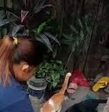 मुंबई : आवारा बिल्लियों को खाना खिला रही महिला को परेशान करने के आरोप में आदमी पर केस दर्ज