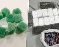  मुंबई में ‘जॉइंट हैश’ ड्रग्स की डिमांड में तेजी, नेपाली नेटवर्क का भंडाफोड़, 2.81 करोड़ की अफगानी चरस जब्त