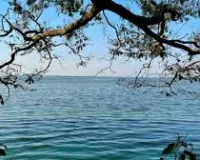 मुंबई : नाबालिगों ने 14 साल के दोस्त की हत्या कर शव झील में फेंका