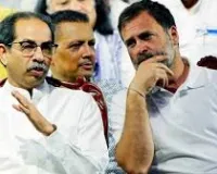 मुंबई: राज्यसभा में कांग्रेस की रणनीति पर सवाल, ठाकरे से पीछे हटने की अपील पर चर्चा