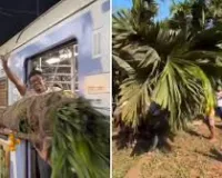 मुंबई : होली के लिए रखे गए लंबे पेड़ के तने को ट्रेन के डिब्बों के बाहर बांधकर ले जाया गया; 6 लोगों पर मामला दर्ज