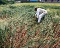 मुंबई : 17 मार्च से कई इलाकों में आंधी-तूफ़ान, बारिश और ओलावृष्टि की संभावना