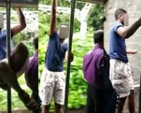 मुंबई : मुंबई लोकल में छपरियों को स्टंट करता देख भड़के यूजर्स, वीडियो वायरल