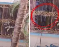 मुंबई : वृद्धाश्रम में एक बुजुर्ग महिला पर कथित तौर पर हमला