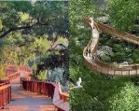 मुंबई : पर्यटकों के लिए मासिक पास शुरू; हरा-भरा मालाबार हिल वॉकवे आकर्षण का केंद्र 