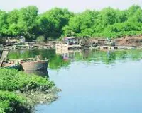 मुंबई : महाराष्ट्र प्रदूषण नियंत्रण मंडल पर सवाल, वालधुनी नदी सफाई के लिए न फंड, न योजना