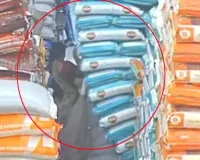 नवी मुंबई: वाशी के एपीएमसी मार्केट में चावल की बोरियों के नीचे दबी महिला, लोगों ने सुरक्षित निकाला