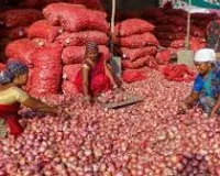 मुंबई : युद्ध के बीच प्याज के एक्सपोर्ट में गिरावट, लासलगांव मार्केट में कीमतों में भारी गिरावट