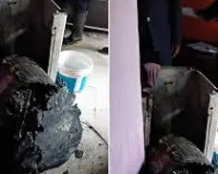 ठाणे  : दिवा रेजिडेंशियल बिल्डिंग में आग लगी, किसी के घायल होने की खबर नहीं