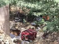 मुंबई : पहले हत्या, फिर काटा सिर, मुंबई-अहमदाबाद हाईवे के पास मिली लाश का खुलासा, बिजनेस पार्टनर ने क्यों ली जान