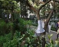 मुंबई में 46,000 पेड़ों पर BMC का 'ऑपरेशन मानसून': लू के बीच क्या और बढ़ेगी शहर की गर्मी? 