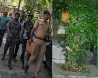 मुंबई के स्मार्ट चोर की अनोखी दुकान, कांदिवली से चुराए फल मीरा रोड पर बेचता था; पुलिस ने दबोचा