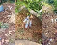 मुंबई : नगर निगम की उदासीनता: कचरे के ढेर ने मालाबार हिल के खूबसूरत इलाके को खराब कर दिया