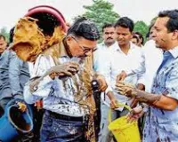 मुंबई : नितेश राणे को सिंधुदुर्ग कोर्ट ने दी एक महीने की जेल, मुंबई-गोवा हाइवे पर NHAI इंजीनियर पर फेंका था कीचड़