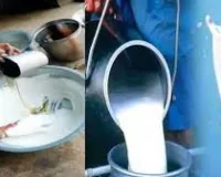 मुंबई : अंधेरी पश्चिम इलाके में मिलावटखोरों का खतरनाक खेल; पुलिस औ एफडीए की संयुक्त कार्रवाई