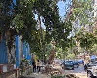मुंबई में दर्दनाक हादसा: खार वेस्ट में निर्माण स्थल से पेड़ गिरने के एक हफ्ते बाद 14 वर्षीय लड़की की मौत