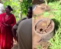 भांडुप में अवैध गांजा खेती का भंडाफोड़, जामिल नगर में कार्रवाई के दौरान वीडियो वायरल