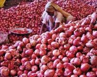 प्याज किसानों के लिए बड़ी घोषणा: ₹12.35 प्रति किलो खरीद और 30 जून से पहले कर्जमाफी का ऐलान