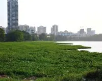 मुंबई: झीलों में पानी का स्तर बढ़ा, उपयोगी जल भंडार 7.31% तक पहुंचा