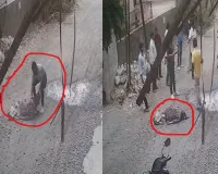 पालघर में सनसनी: राजस्व विभाग की महिला कर्मचारी पर दरांती से जानलेवा हमला, हालत गंभीर