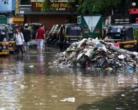 मुंबई: बीएमसी पर सख्त हाईकोर्ट; पूछा - इंदौर साफ हो सकता है तो मुंबई क्यों नहीं?
