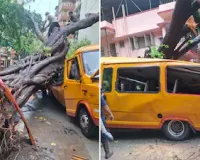  मुंबई के चेंबूर में स्कूल बस पर पेड़ गिरने से 11 साल के छात्र की मौत, चार अन्य घायल