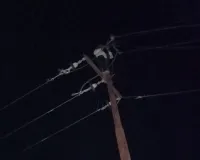 मुंबई : बिजली के खंभे से बोल्ट और तांबे के तार चोरी... 3 करोड़ की संपत्ति पर चोरों का हाथ साफ