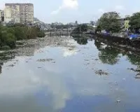 मुंबई : करोड़ों खर्च हुए, पर नहीं बदला मुंबई की मीठी नदी का भाग्य, अब भी भरी खर-पतवार, प्लास्टिक और कचरा