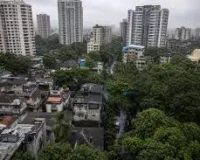 मुंबई: धारावी प्रोजेक्ट के लिए पेड़ हटाने का प्रस्ताव अथॉरिटी को सौंपा; क्या 8000 पेड़ काटे जाएंगे? 