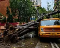 मुंबई: चेंबूर में पेड़ कटाई मामले में एफआईआर दर्ज, पीजीडी ग्रुप समेत तीन डेवलपर्स पर कार्रवाई
