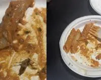 मुंबई के प्ले जोन में खाने को लेकर शिकायत, पास्ता में कॉकरोच मिलने का आरोप; जांच की मांग