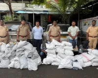 पालघर पुलिस की तंबाकू विरोधी बड़ी कार्रवाई: 4 मामलों में ₹38.43 लाख का सामान जब्त, 4 गिरफ्तार
